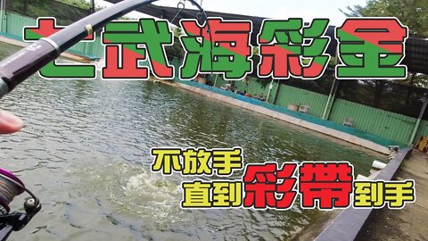 【台客去釣魚】不放手，直到彩帶到手！我也是有彩帶的那個男人啦！ feat.七武海魚蝦釣場