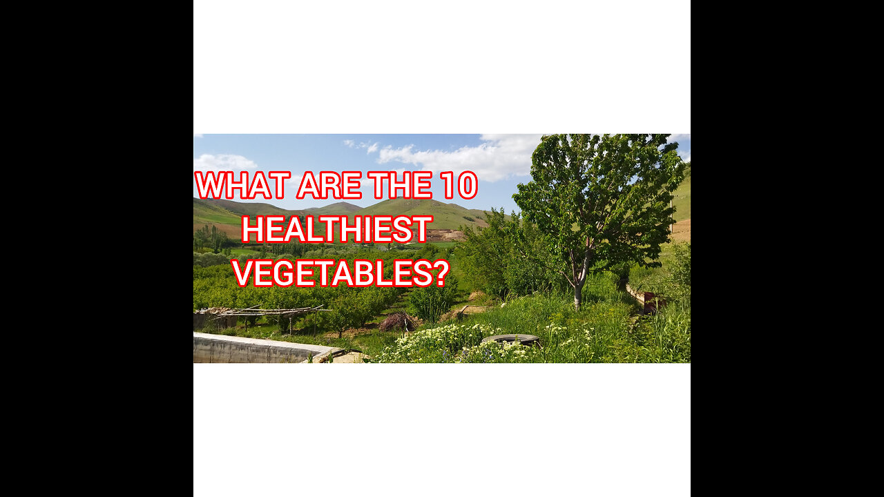 What are the 10 healthiest Vegetables?