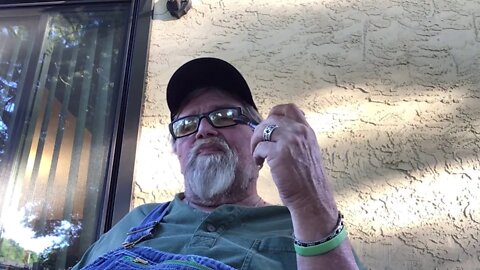 Chat from the Flamingo Lounge