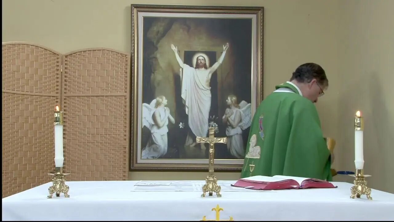 Live Holy Mass for Tuesday, June 14th, 2022