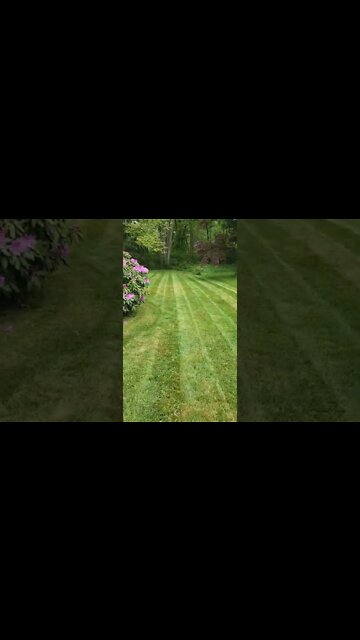 Look at those lines!!