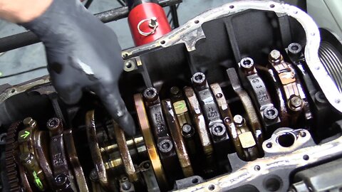How To Remove and Label Pistons ~ White Wookie