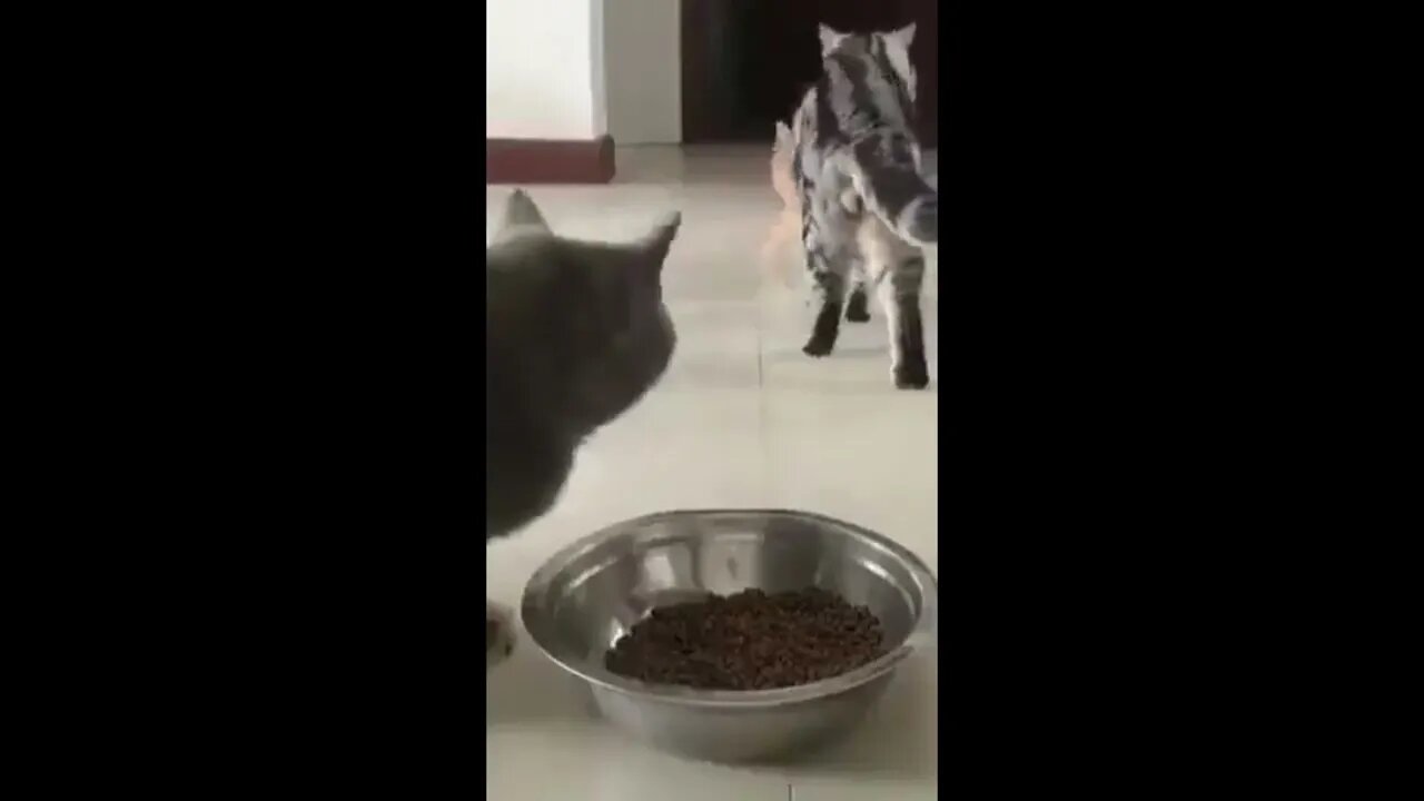 Excited for Food!