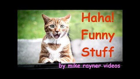 Amazing Funny Animals! make you Laugh Pets Cats Dogs! Happy People Do Funny Stuff!