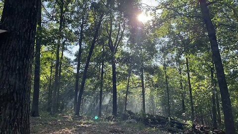The #nature #sounds #4k