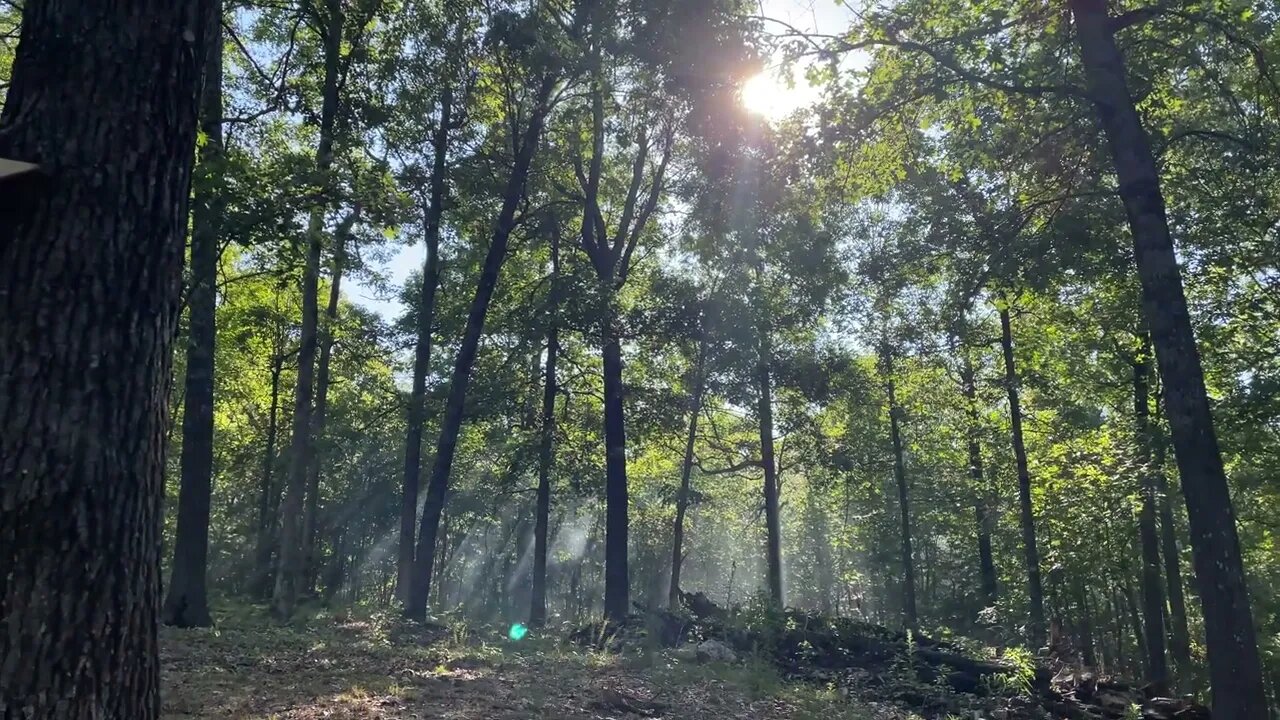 The #nature #sounds #4k