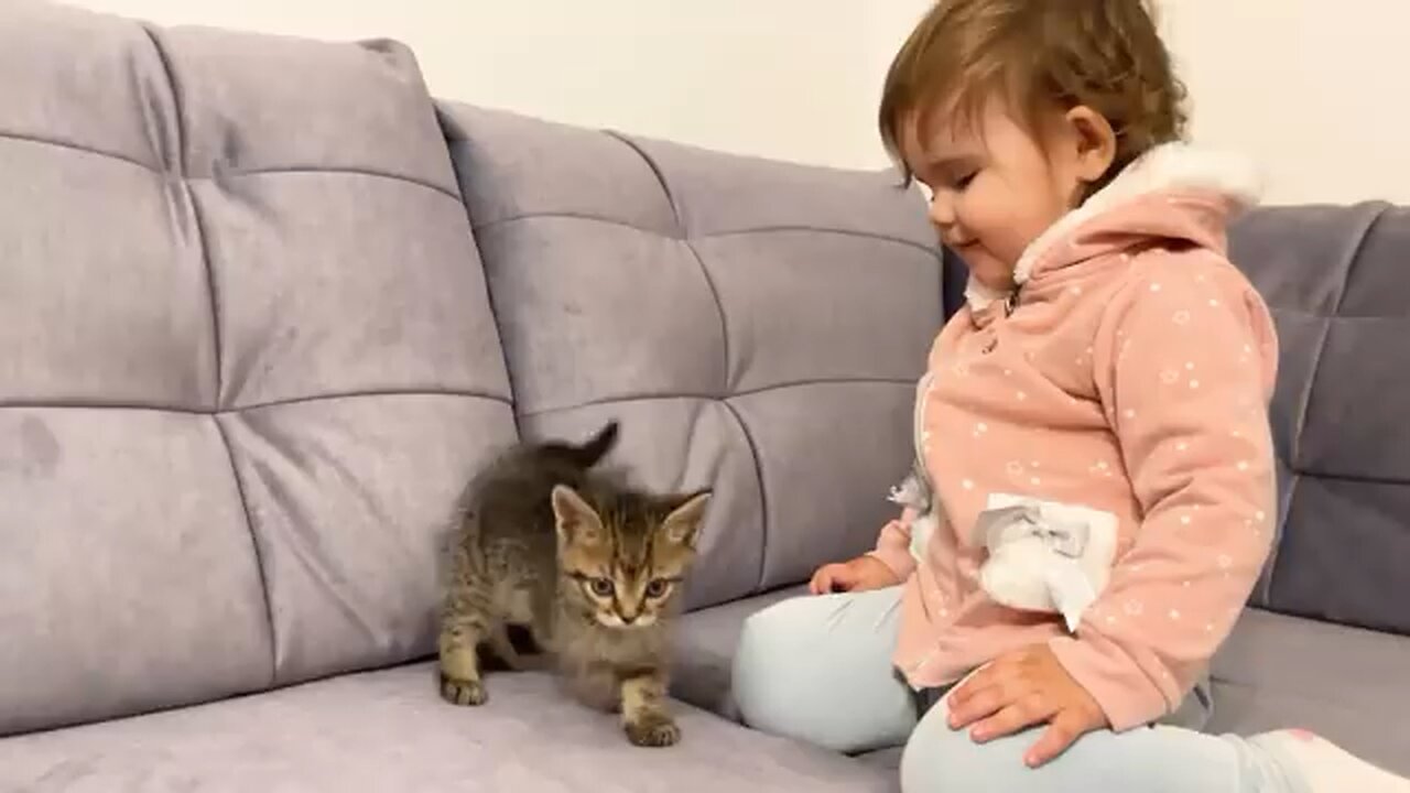 Cute Baby Meets New Baby Kitten for the First Time!