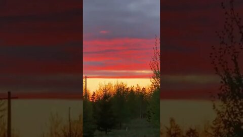 Orange sky pink clouds sunset