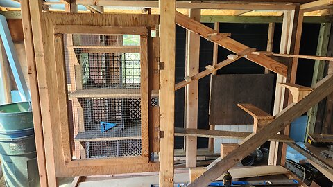 Puppies eating lunch and indoor chicken coop