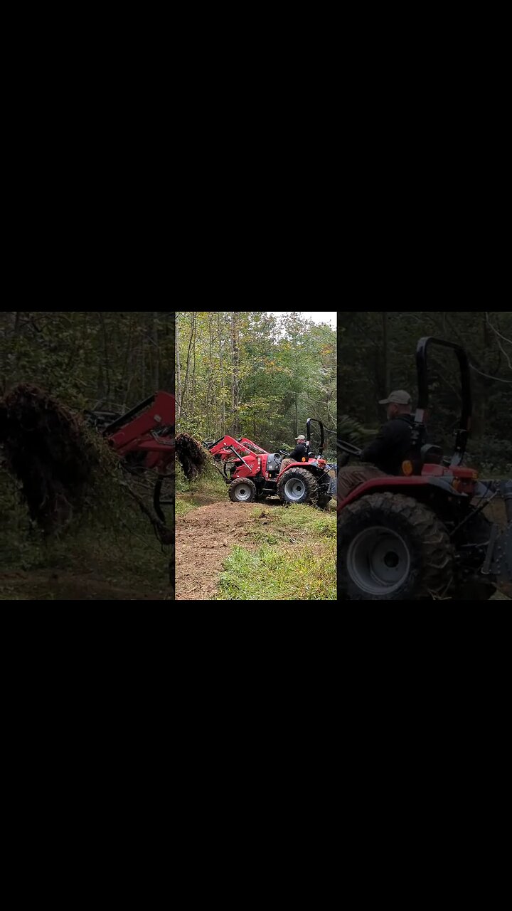 Clearing a Deer Viewing Lane with my TYM T474 @tymnorthamerica