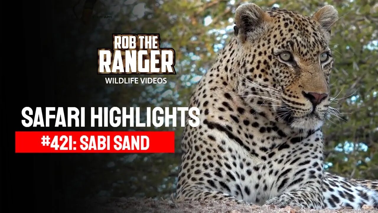 Safari Highlights #421: 09 - 12 July 2016 | Sabi Sand Wildtuin | Latest Wildlife Sightings