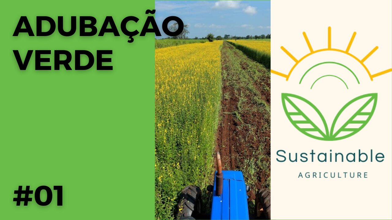 Adubação Verde - Fixação Biológica de Nitrogênio