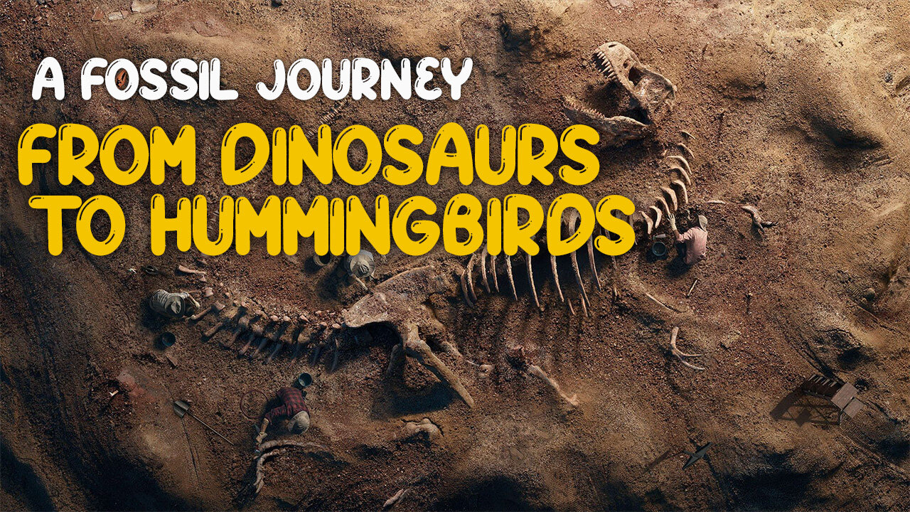 From Dinosaurs to Hummingbirds : A Fossil Journey