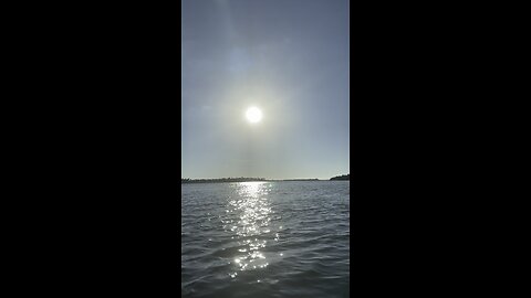 Devil Ray Kayak Sighting At Caxambas Pass #FYP #DevilRay #Kayaking #CaxambasPass #MarcoIsland #4K