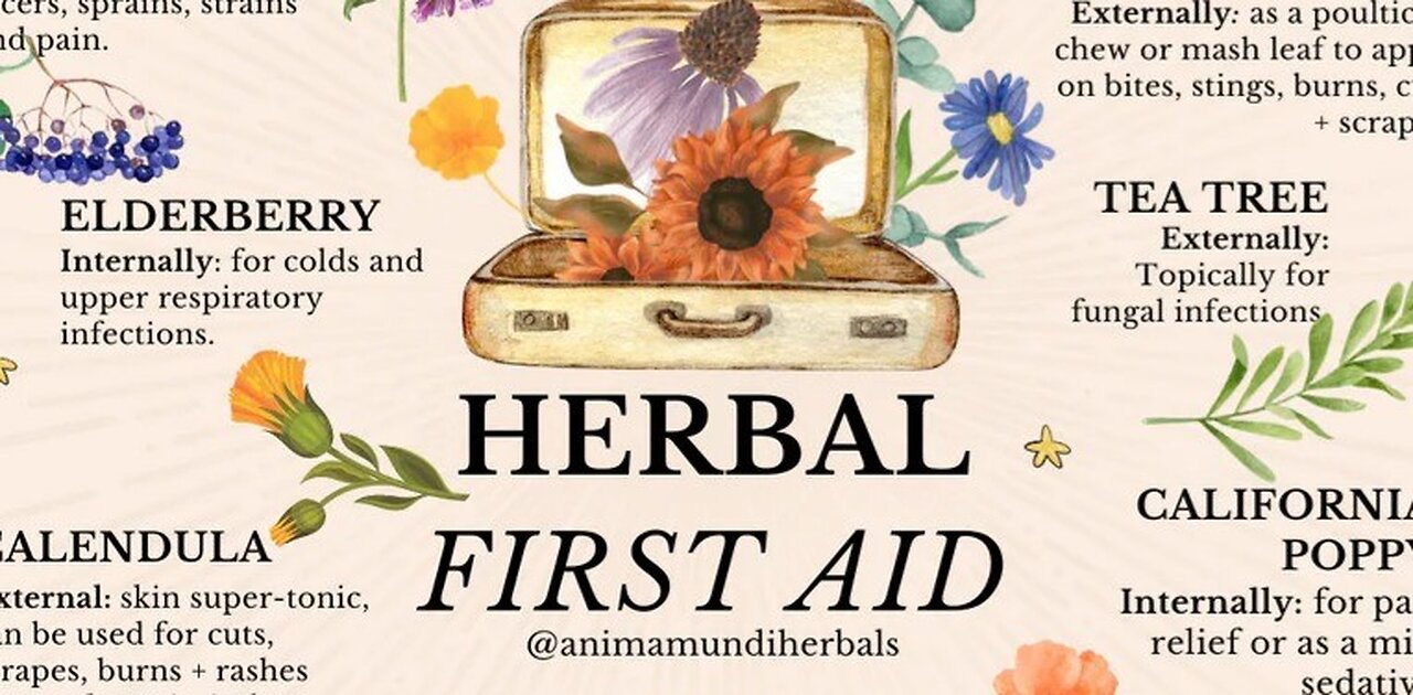 Herbal Remedies w/Trisha Jones