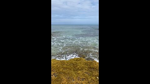 Kona ocean