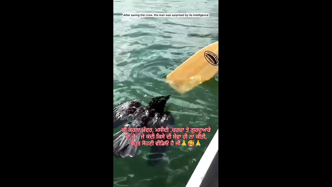 💯 Humanity like a God 💯