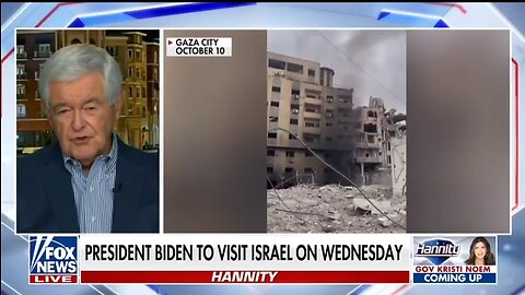 Newt Gingrich: If Hamas Exists A Year From Now They Have Won
