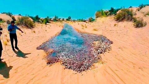 Man’s Camera Caught Something Strange in the Middle of the River