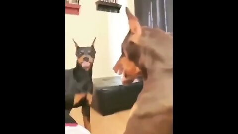 Defusing The Situation