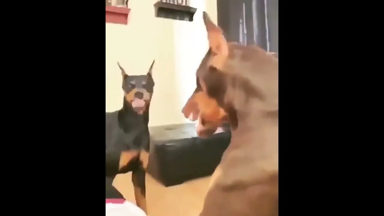 Defusing The Situation