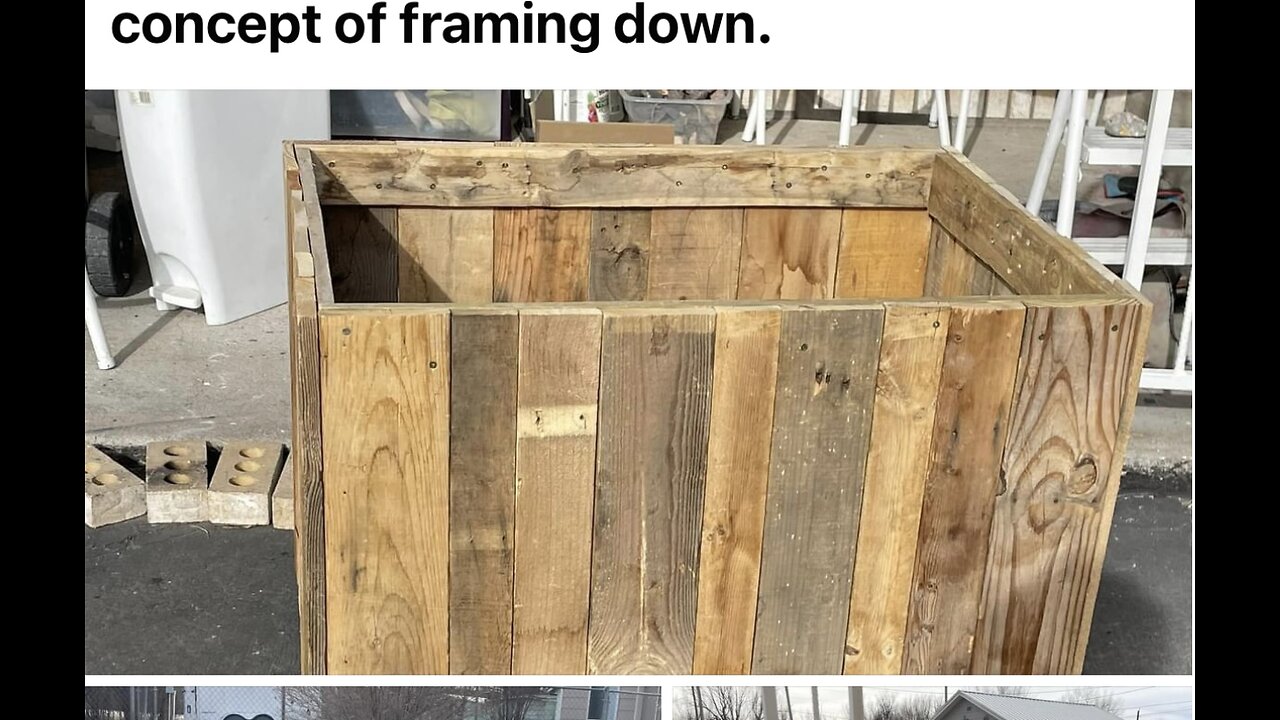 ☎️-☎️-🦁-☎️-☎️