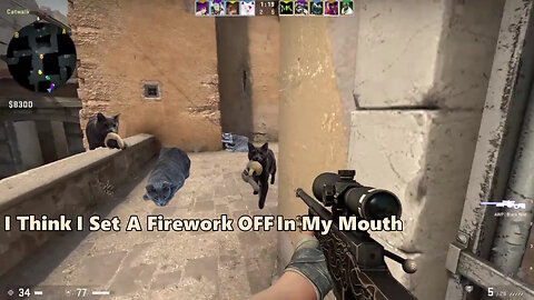 This Is Hopefully The Last CSGO Video I Make