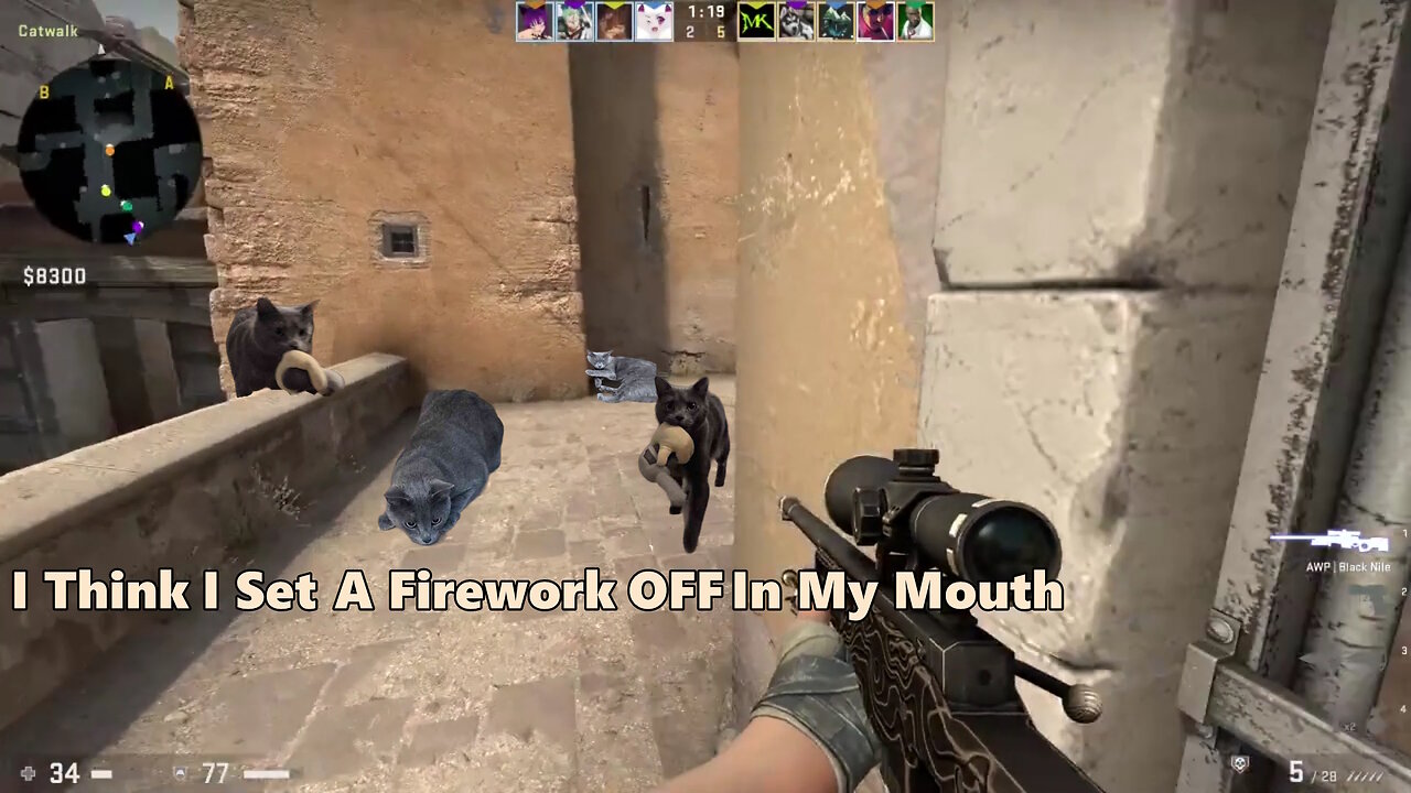 This Is Hopefully The Last CSGO Video I Make