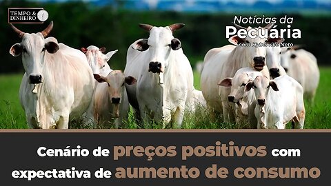 Boi gordo tem cenário de preços positivos com expectativa de aumento de consumo no varejo