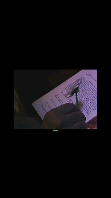 Simple Contemplation