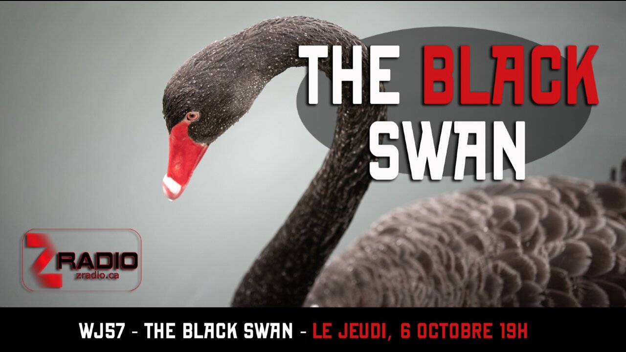 WJ57 - Black Swan