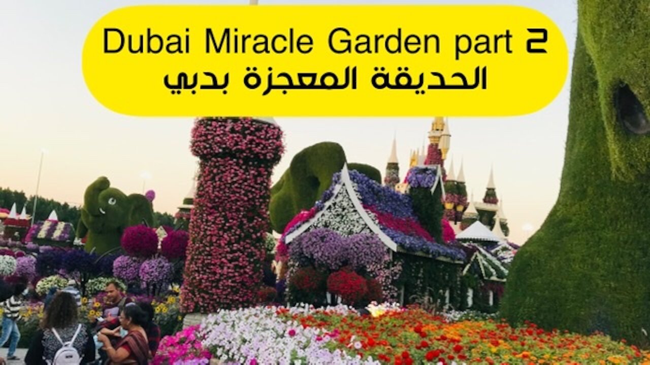 Dubai Miracle Garden part 2 || الحديقة المعجزة بدبي الجزء 2