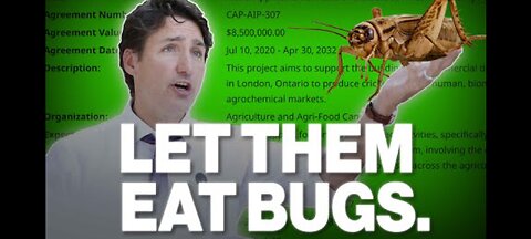TRUE-DOH " LET THEM EAT BUGS"