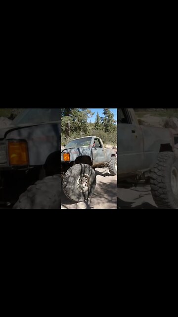 Yota Crawler - John Bull Gatekeeper, Big Bear