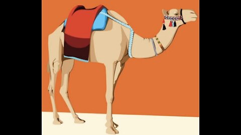 Jewels Under the Saddle - a short inspiring story