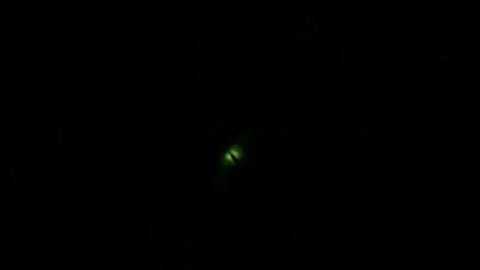 Glowing Green Bug