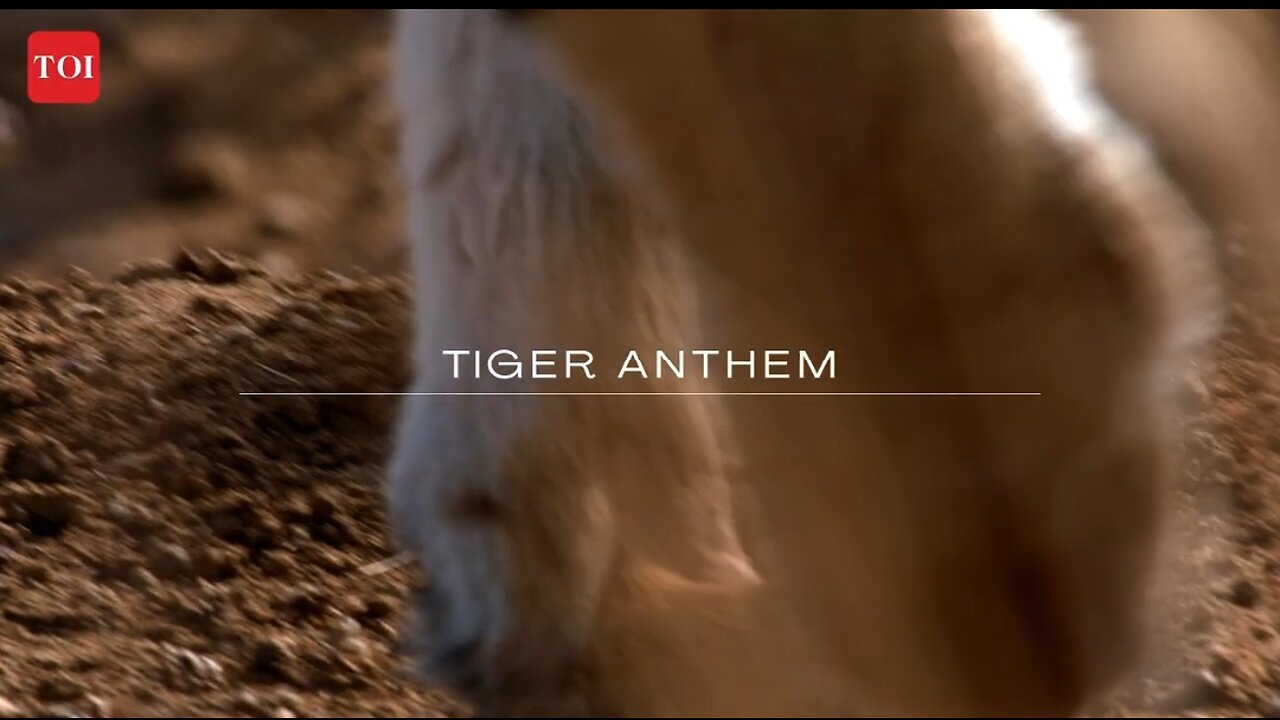 Tiger Entham Film