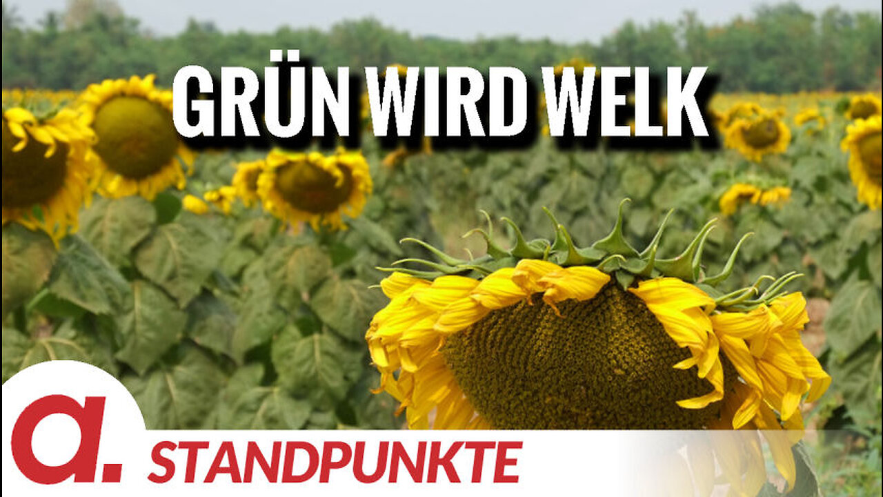 Grün wird welk | Von Rüdiger Rauls