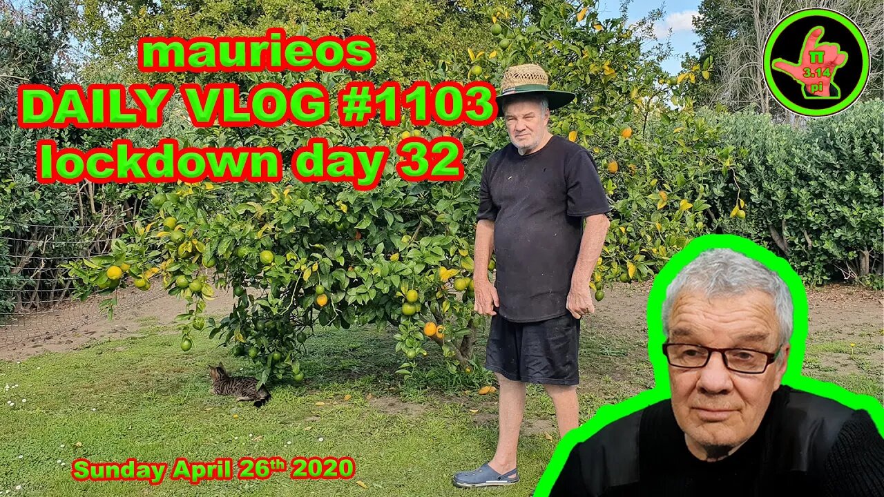 maurieos DAILY VLOG #1103 lockdown day 32