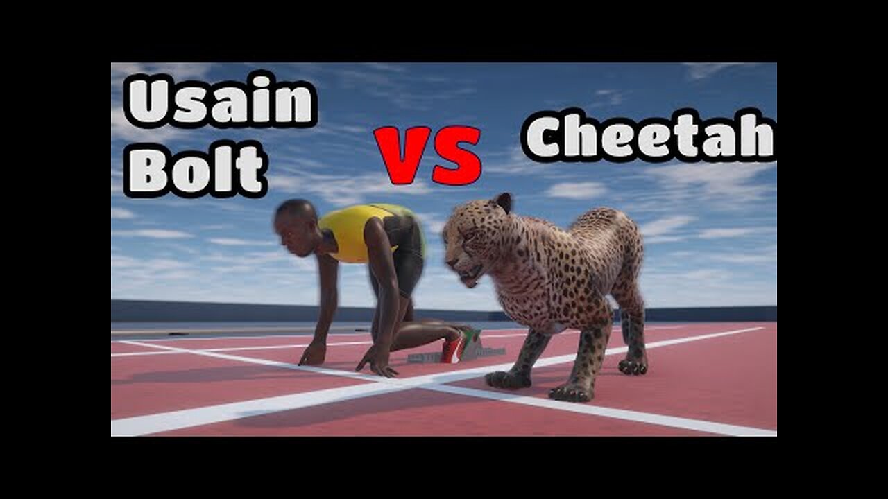 Usain Bolt VS Cheetah