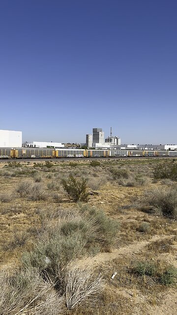 Watching the train pass
