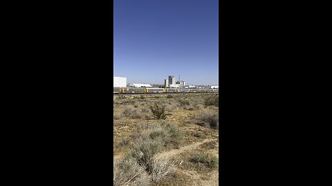 Watching the train pass