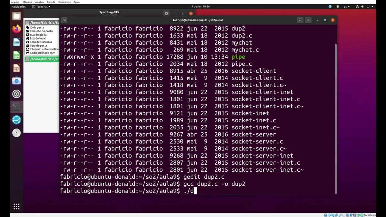 dup2.c - Redirecionando a Saída de um Pipe com dup2 no Linux