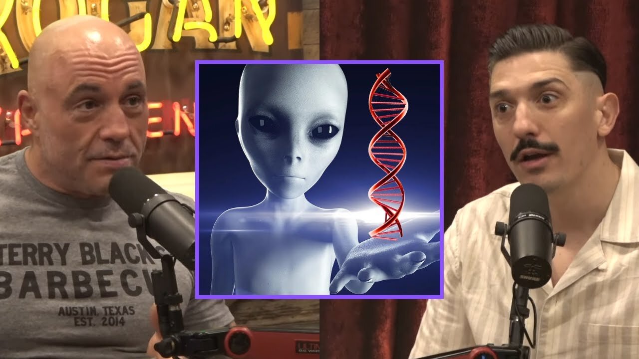 Joe Rogan & Andrew Schulz: 'Are We the Product of Accelerated Evolution?'