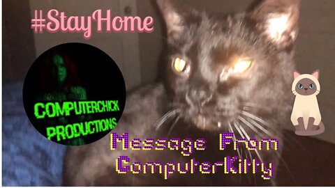 Message From ComputerKitty