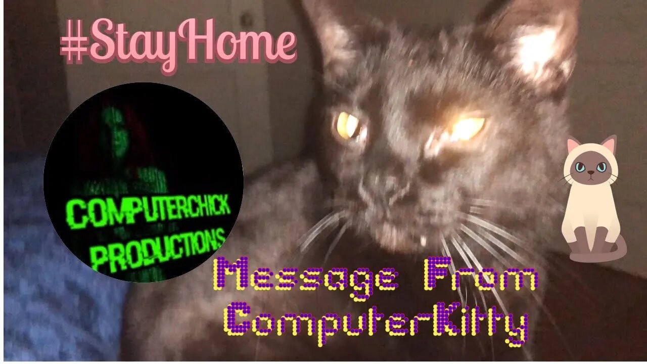 Message From ComputerKitty