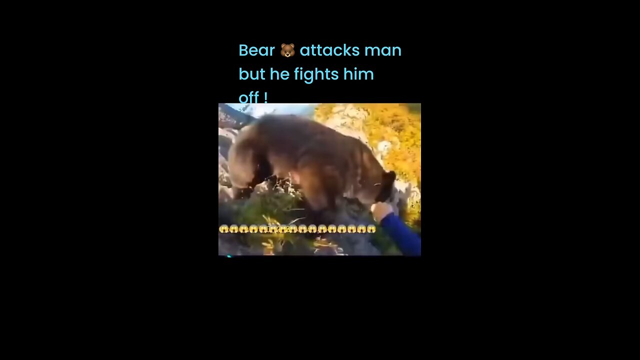 Bear attacks man but he fights him off !!! #lioneyenews #BreakingNews #news #bearattack