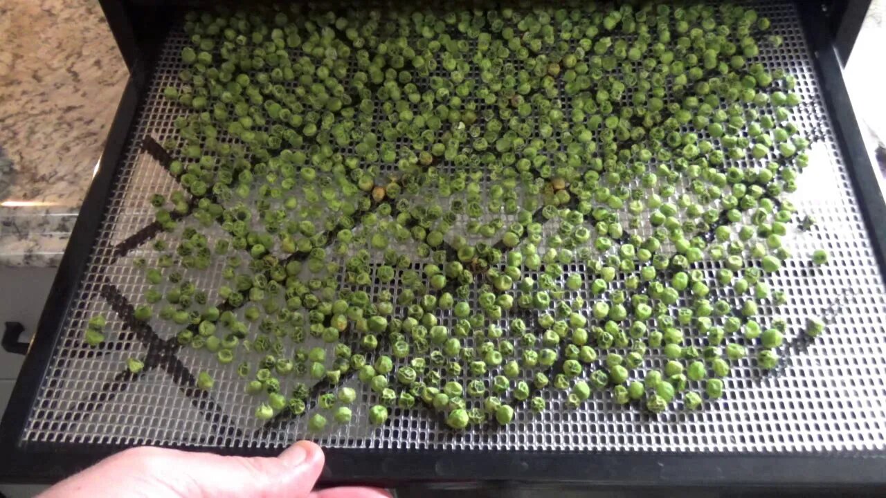 Dehydrating Frozen Vegetables - L2Survive with Thatnub