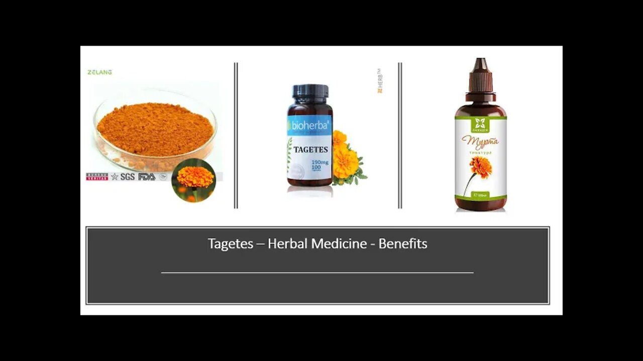 Tagetes - Herbal Medicine Benefits