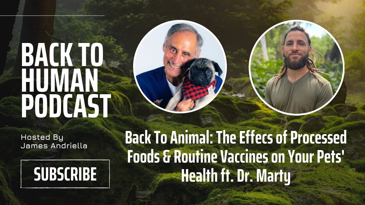 Back To Animal: The Effecs of Processed Foods & Routine Vaccines on Your Pets' Health ft. Dr. Marty